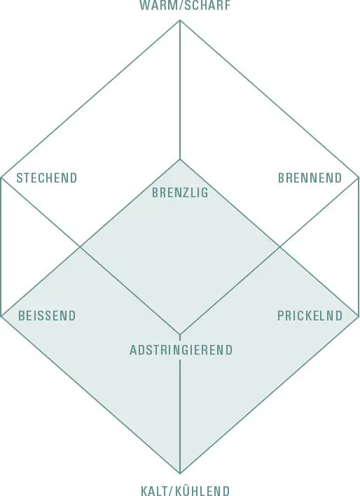 Die Trigeminusempfindung eines Gerichts lässt sich innerhalb eines - фото 106