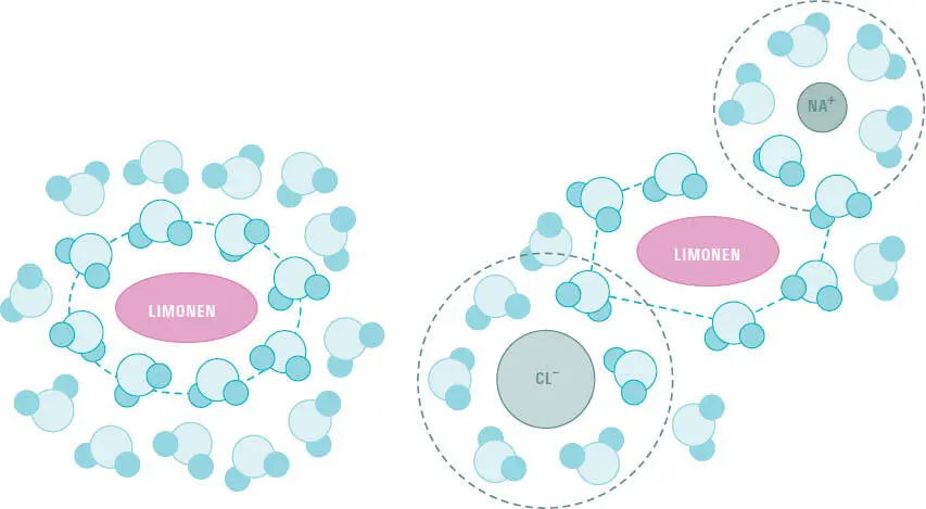 Hydrophobe Moleküle z B Limonen rote Ellipse werden von polaren - фото 209
