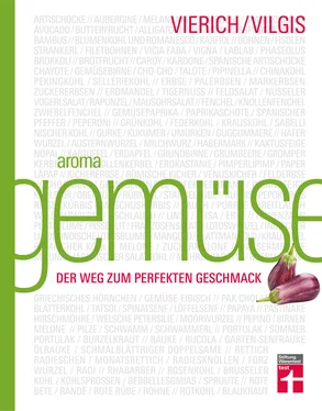 Thomas Vierich Aroma Gemüse обложка книги