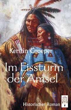 Kerstin Groeper Im Eissturm der Amsel обложка книги