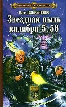 Олег Шовкуненко Звездная пыль калибра 5,56 обложка книги