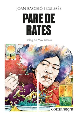 Joan Barceló i Cullerés Pare de rates обложка книги