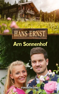 Hans Ernst Am Sonnenhof обложка книги