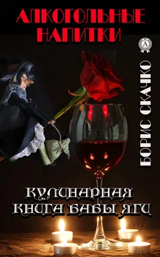 Борис Скачко Кулинарная книга Бабы Яги. Алкогольные напитки