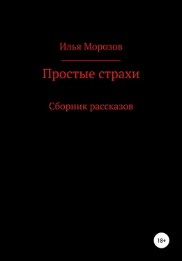 Илья Морозов Простые страхи обложка книги