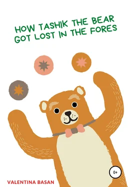 Валентина Басан How Tashik the bear got lost in the forest обложка книги