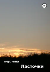 Игорь Ривер - Ласточки