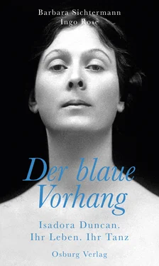 Ingo Rose Der blaue Vorhang обложка книги