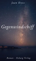 Jaan Kross - Gegenwindschiff