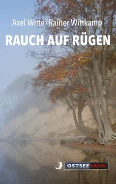 Witte Wittkamp Rauch auf Rügen обложка книги