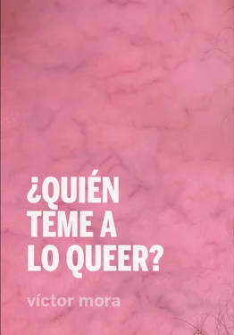 Víctor Mora ¿Quién teme a lo queer? обложка книги