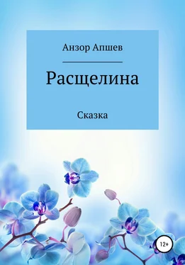 Анзор Апшев Расщелина обложка книги