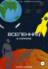 Анастасия Мельникова - Вселенная в кармане. Книга первая