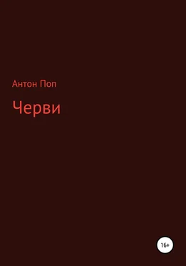 Антон Поп Черви обложка книги