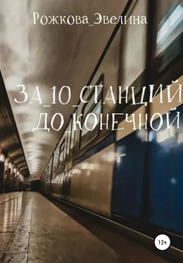 Эвелина Рожкова За 10 станций до конечной обложка книги