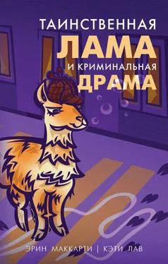 Эрин Маккарти Таинственная лама и криминальная драма обложка книги