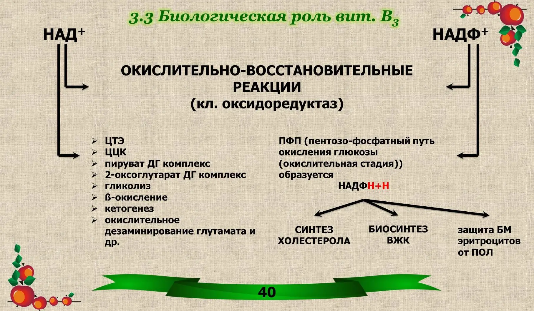 34 Гиповитаминоз вит В 3 ПЕЛЛАГРА Дерматит на открытых участках - фото 21