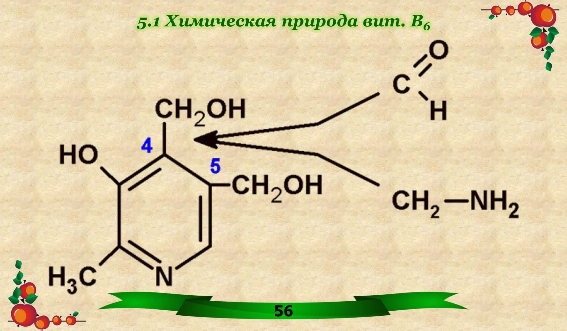 52 Коферменты пиридоксаль фальфосфат и пиридоксаминфосфат ПФ - фото 28