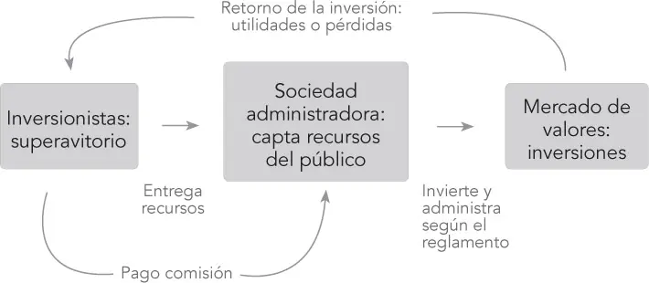 Imagen 4 Portafolios de inversión Son ventajas de los portafolios de - фото 7