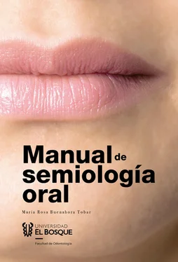 María Rosa Buenahora Tobar Manual de semiología oral обложка книги