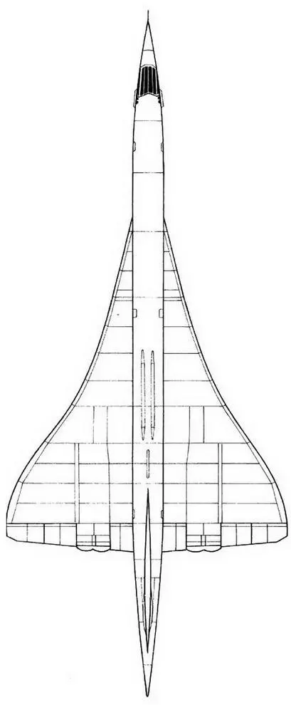 Столетняя история летающего крыла - фото 314