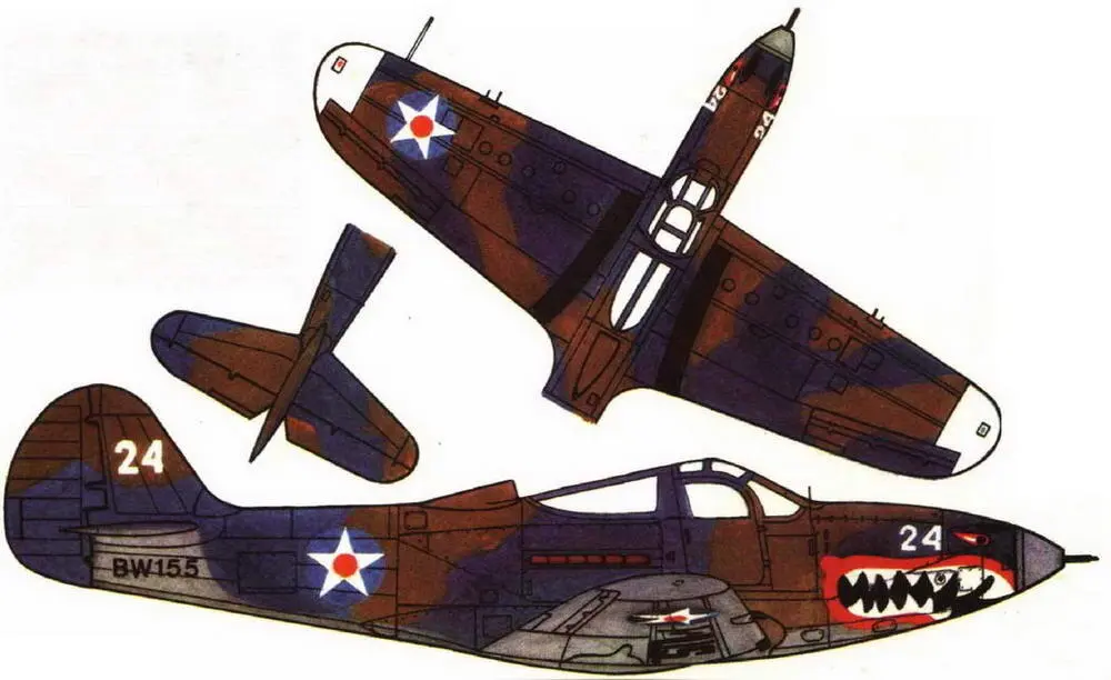 P400 BW155 пилота 67 иэ 347 иаг лта Бэркли Диллена Аэ Тонтоута Новая - фото 66