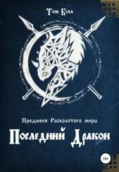 Том Белл - Последний дракон