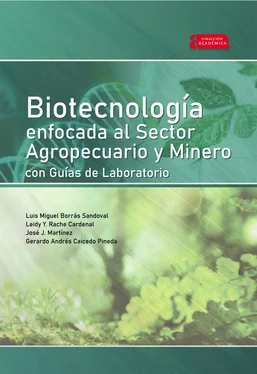 Luis Miguel Borrás Sandoval Biotecnología enfocada al sector agropecuario y minero con guías de laboratorio обложка книги