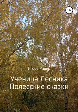 Игорь Ривер Ученица Лесника. Полесские сказки обложка книги