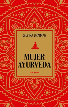 Silvina Draiman Mujer Ayurveda обложка книги