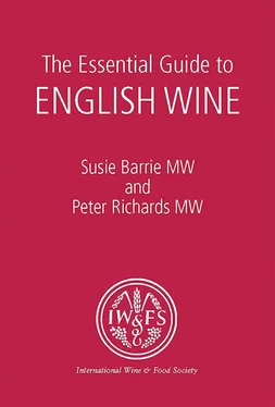 Susie Barrie The Essential Guide to English Wine обложка книги