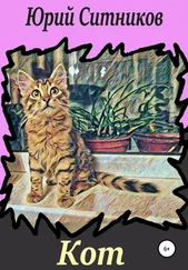 Юрий Ситников - Кот