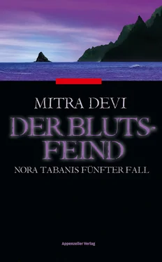 Mitra Devi Der Blutsfeind обложка книги