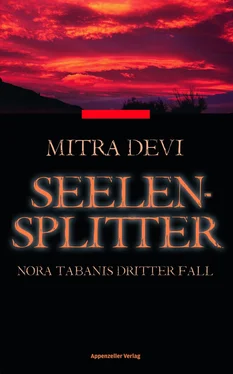 Mitra Devi Seelensplitter обложка книги