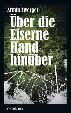 Armin Zwerger Über die Eiserne Hand hinüber обложка книги