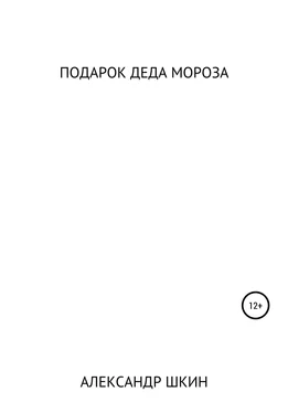 Александр Шкин Подарок деда Мороза обложка книги