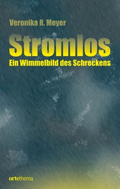 Veronika R. Meyer Stromlos обложка книги