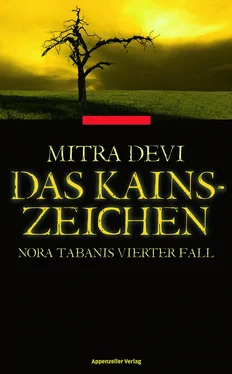 Mitra Devi Das Kainszeichen обложка книги
