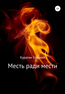 Евгений Курагин Месть ради мести обложка книги