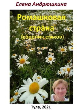 Елена Андрюшкина Ромашковая страна. Сборник стихов обложка книги