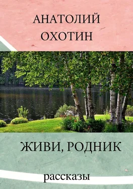 Анатолий Охотин Живи, родник. Рассказы обложка книги