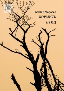 Евгений Морозов Кормить птиц обложка книги