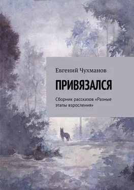 Евгений Чухманов Привязался. Сборник рассказов «Разные этапы взросления» обложка книги