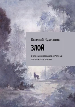 Евгений Чухманов Злой. Сборник рассказов «Разные этапы взросления» обложка книги