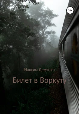 Максим Демянюк Билет в Воркуту обложка книги