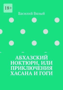 Василий Вялый Абхазский ноктюрн, или Приключения Хасана и Гоги обложка книги