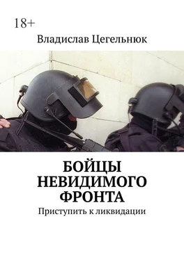 Владислав Цегельнюк Бойцы невидимого фронта. Приступить к ликвидации обложка книги