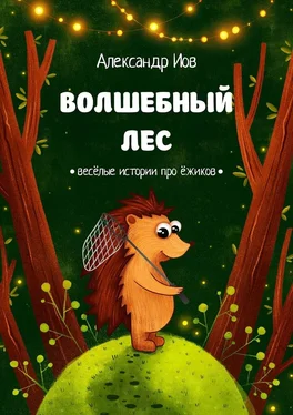 Александр Иов Волшебный лес. Весёлые истории про ёжиков обложка книги