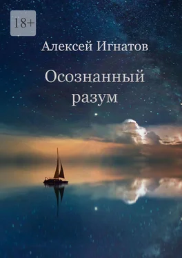 Алексей Игнатов Осознанный разум обложка книги