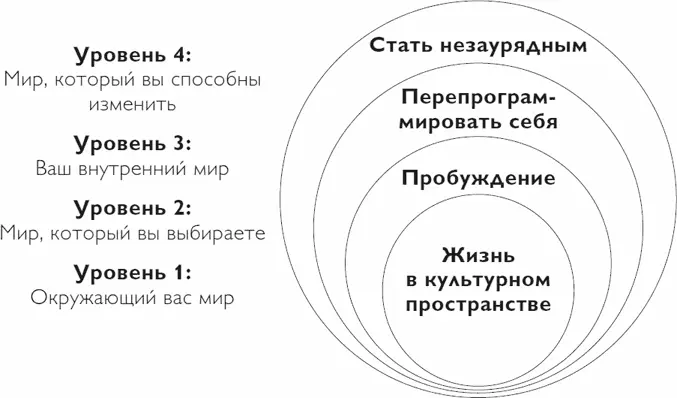 Уровень 1 Жизнь в культурном пространстве Из первой части этой книги вы - фото 16